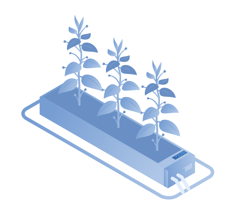 Smart Greenhouses illustration